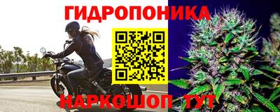 Альфа ПВП Усть-Илимск